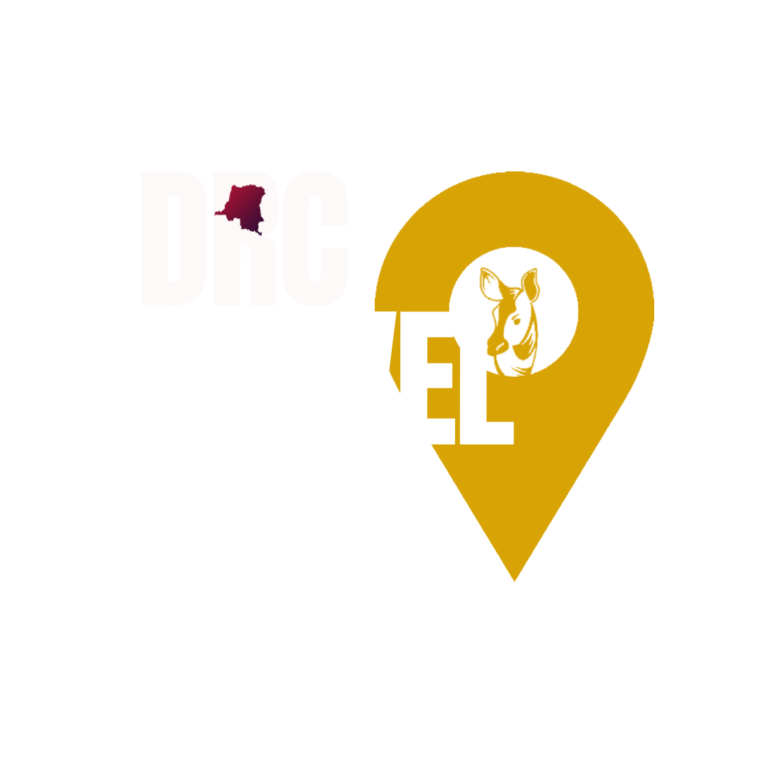 LOGO OFFICIEL DE LA DTM